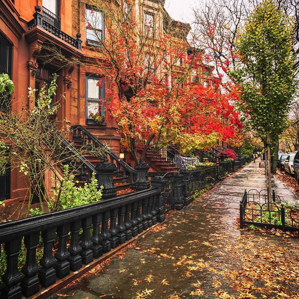 Fall Weather In Brooklyn