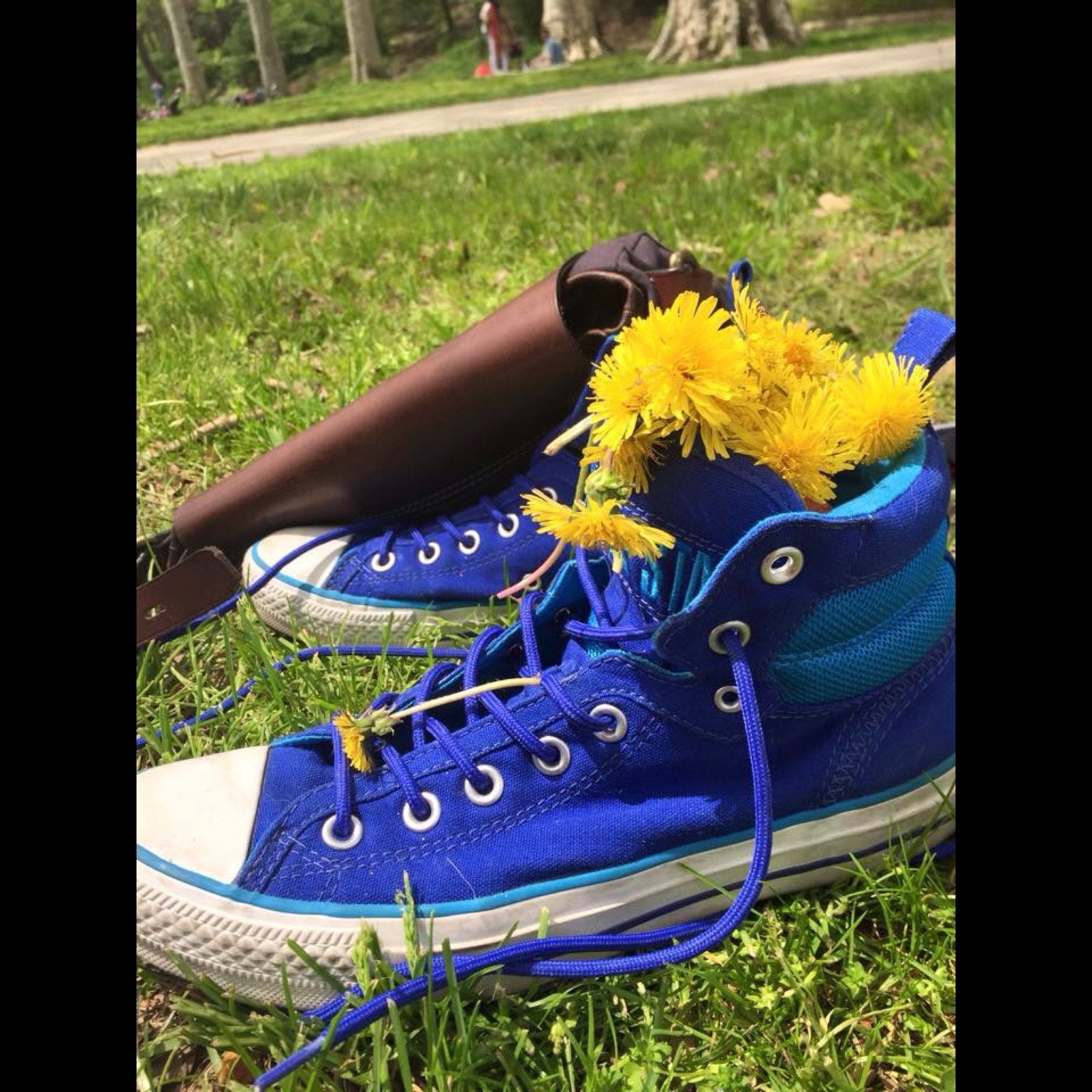 Love the Brooklyn Way