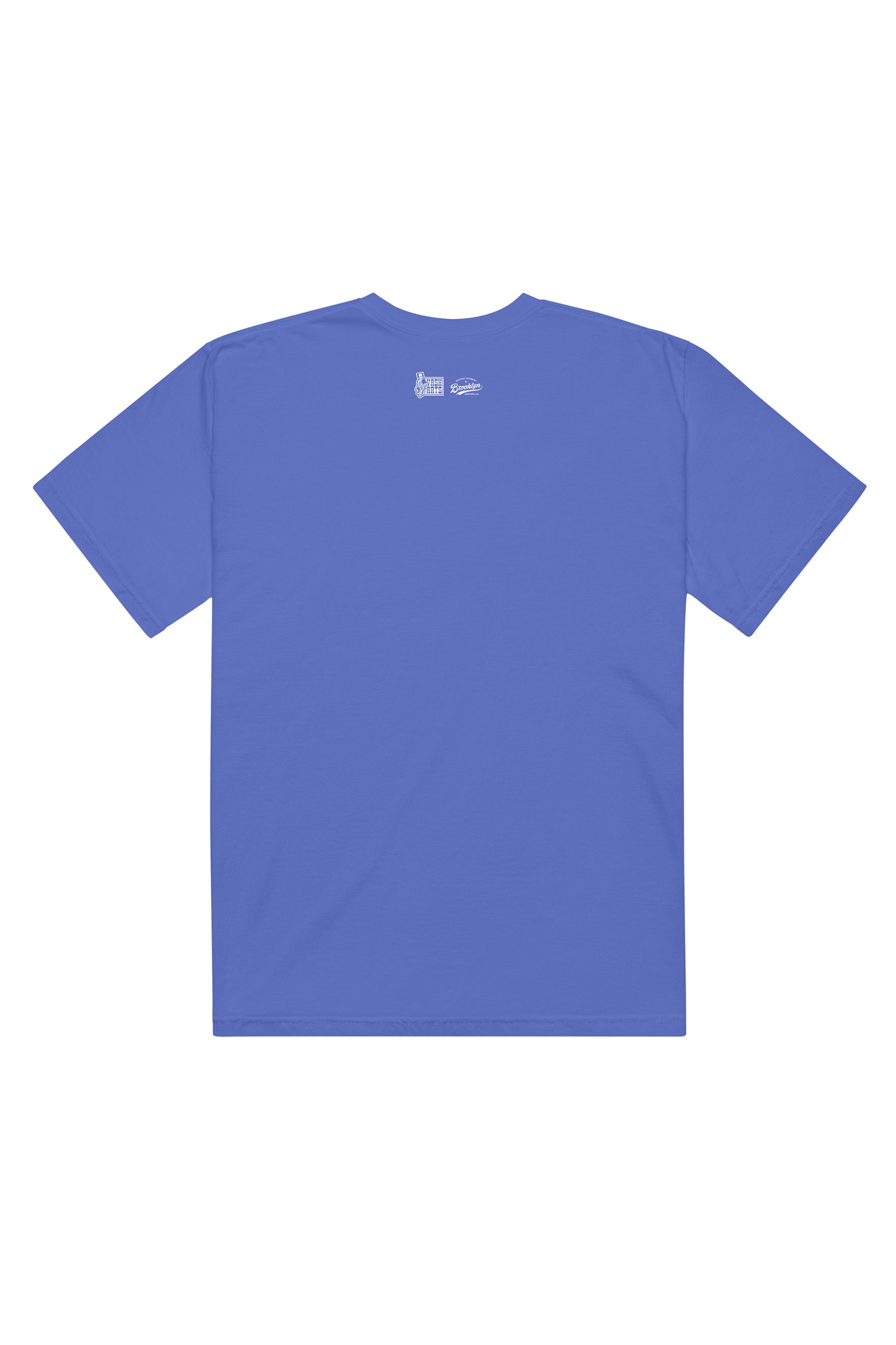 VASH x Brooklyn Cloth: Relaxed Fit T Shirt
#color_coastal blue