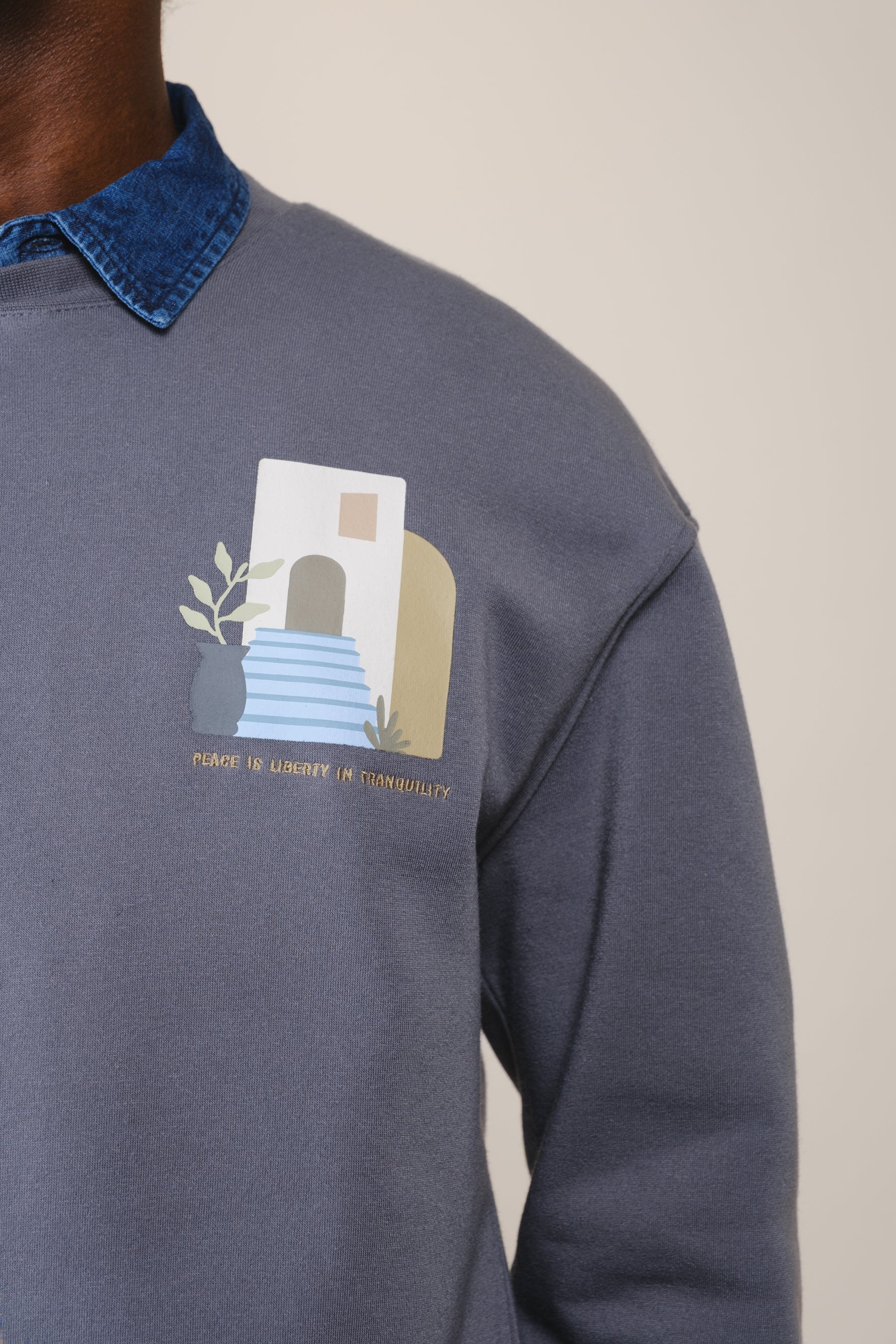 Thank You Have a Nice Day Crew Neck with striking front and back graphics
#color_steel grey