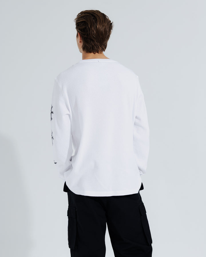 #color_white