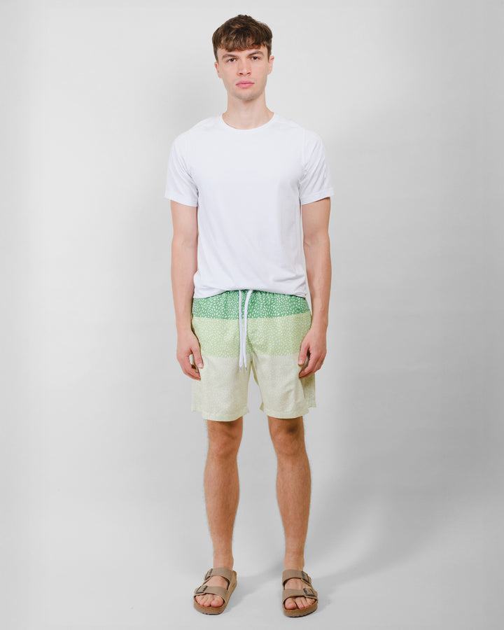 #color_green