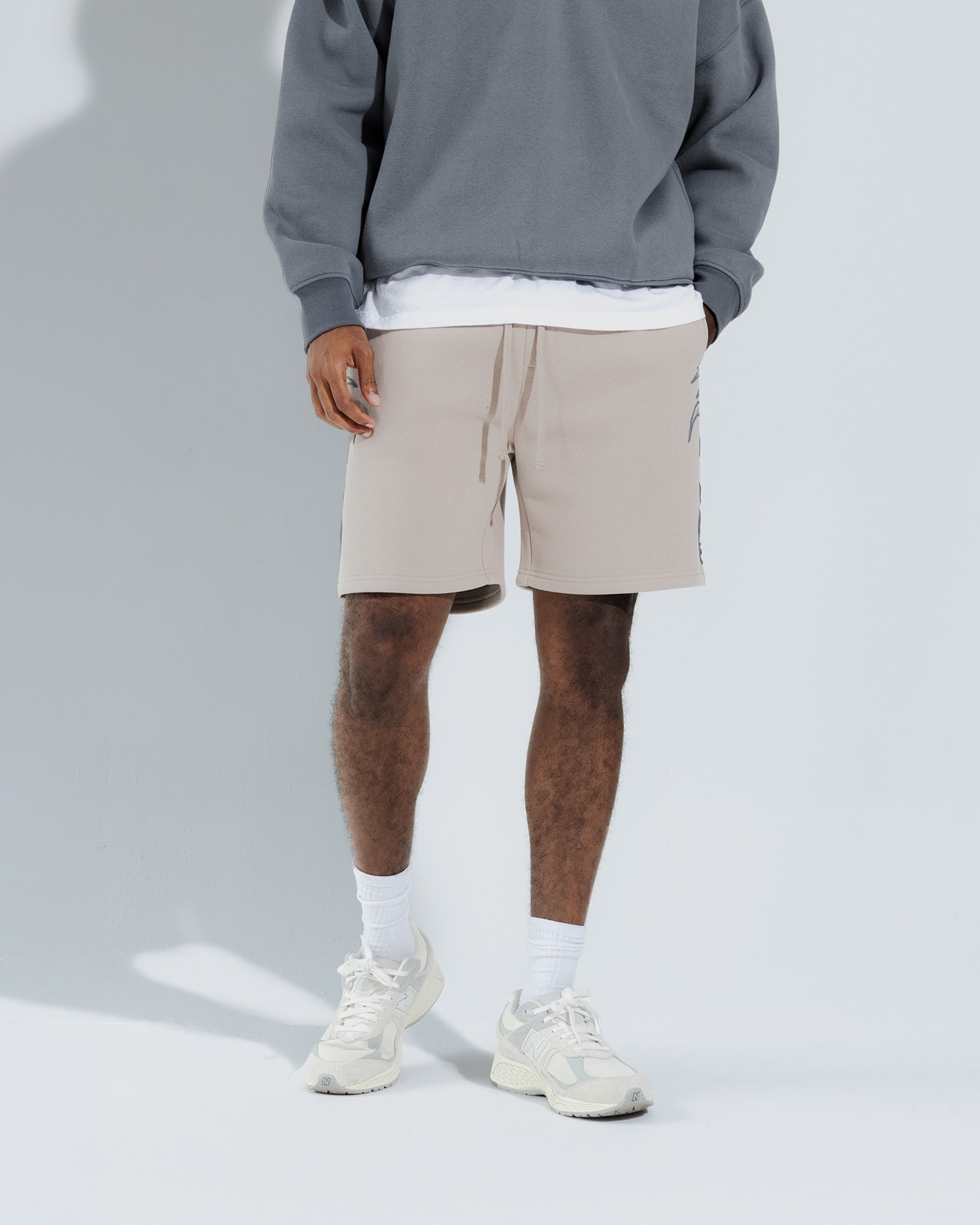 Insanity Shorts in Pumice stone
