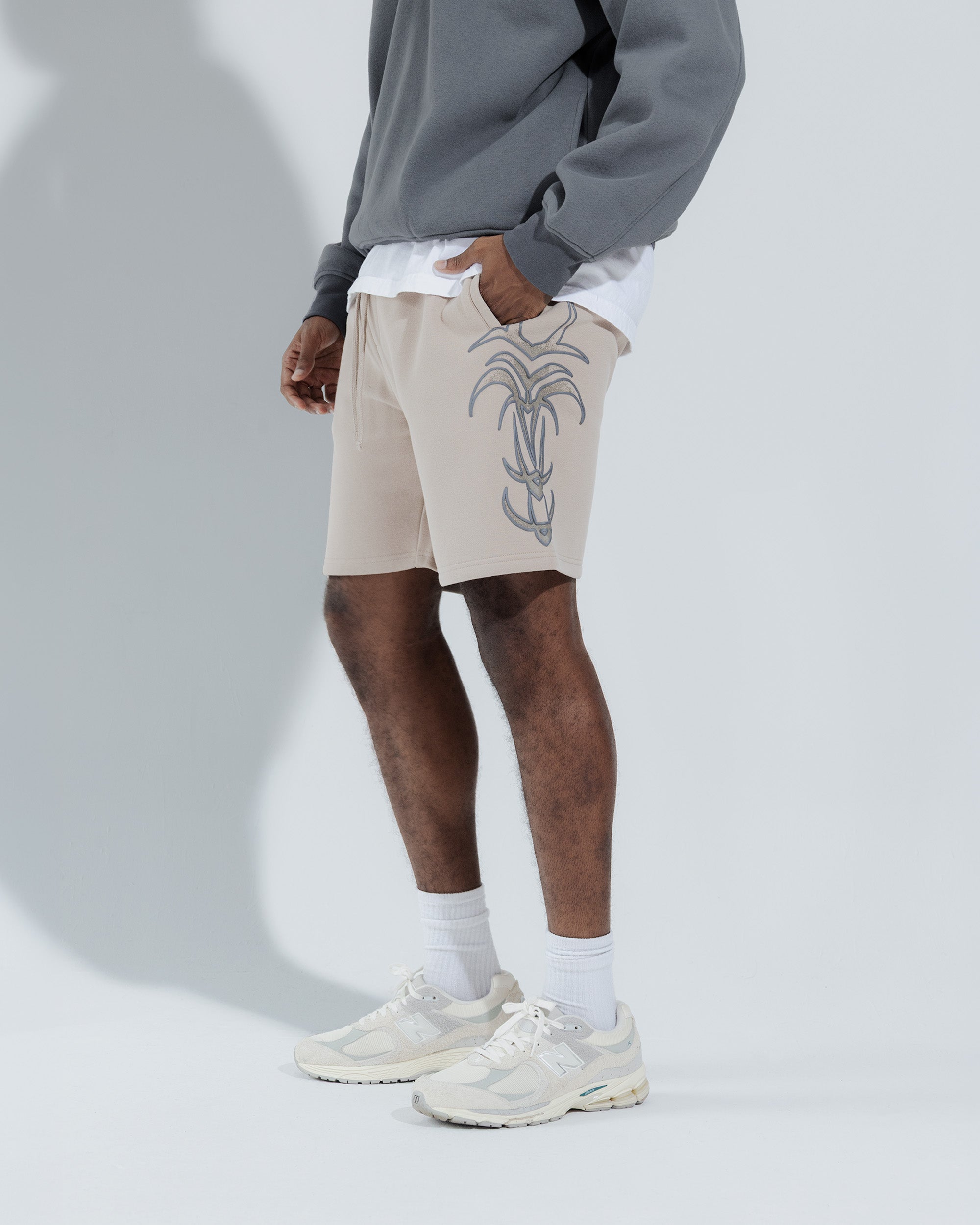 Insanity Shorts in Pumice stone