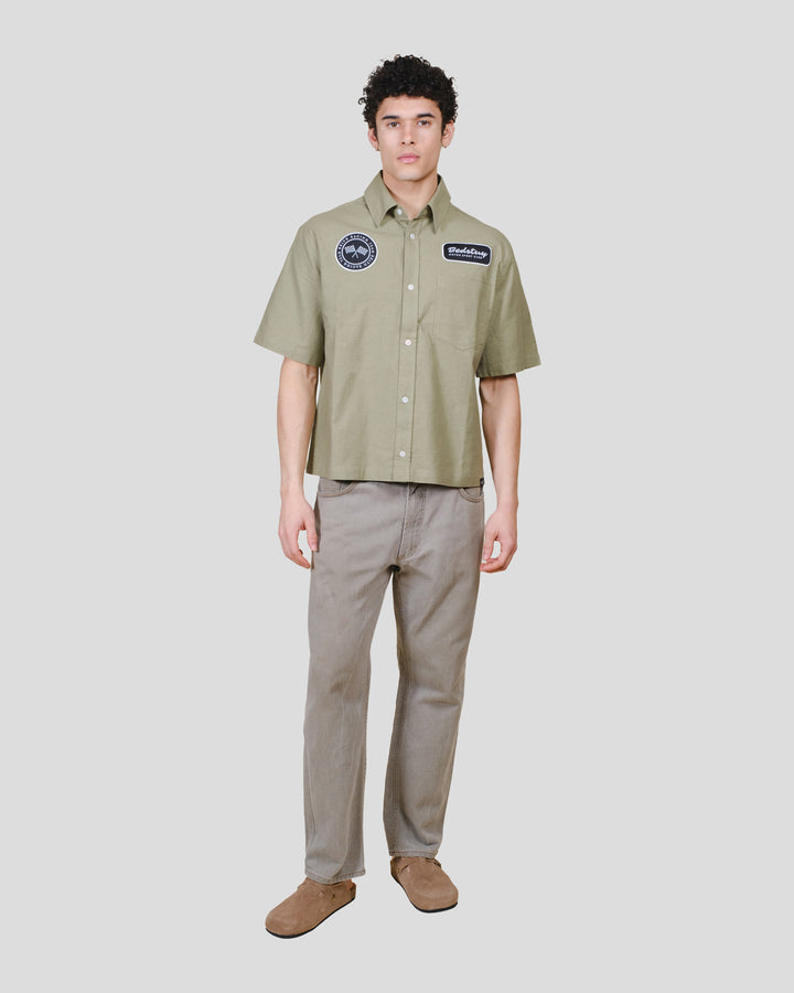 #color_olive-gray