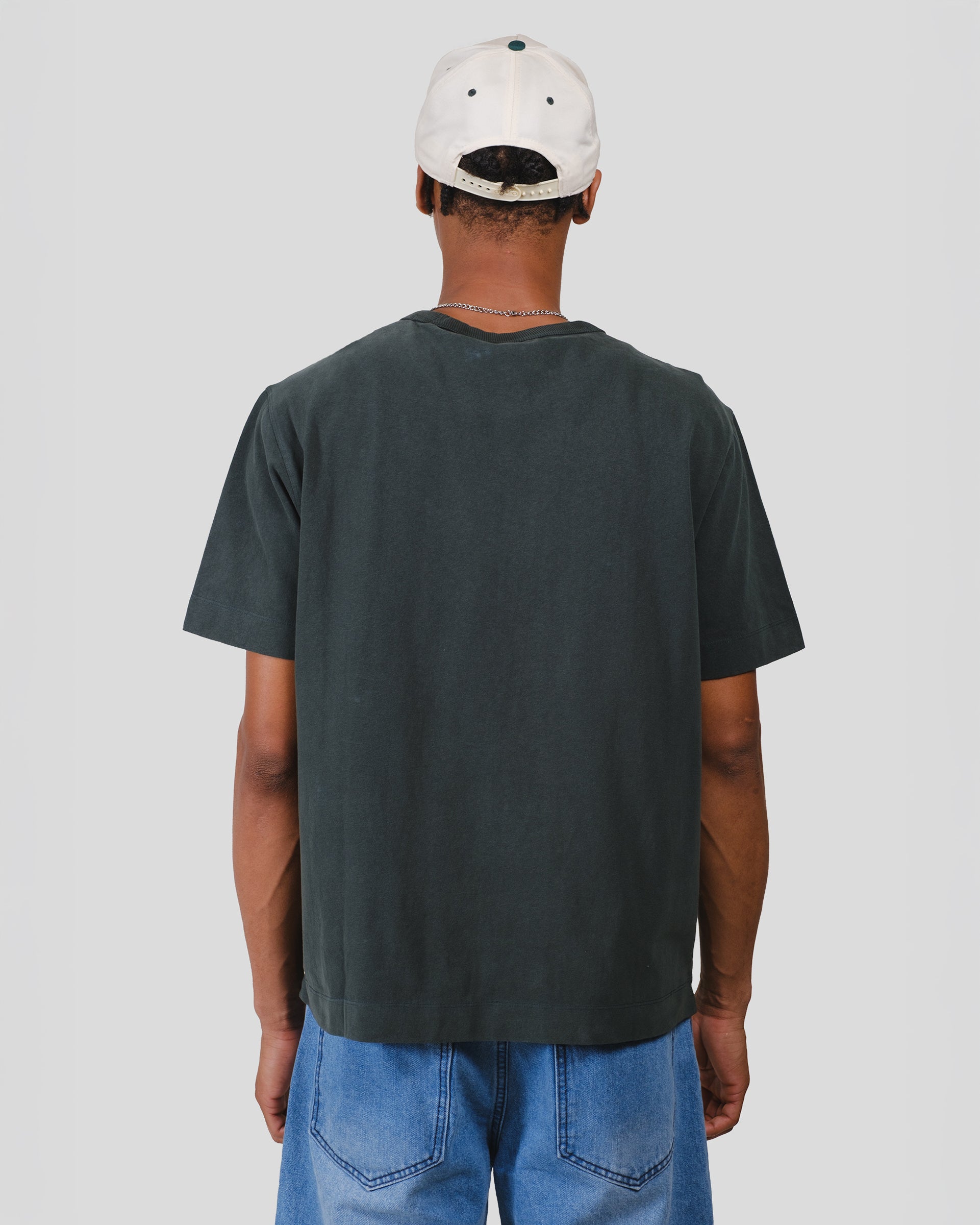 #color_washed-dark-spruce