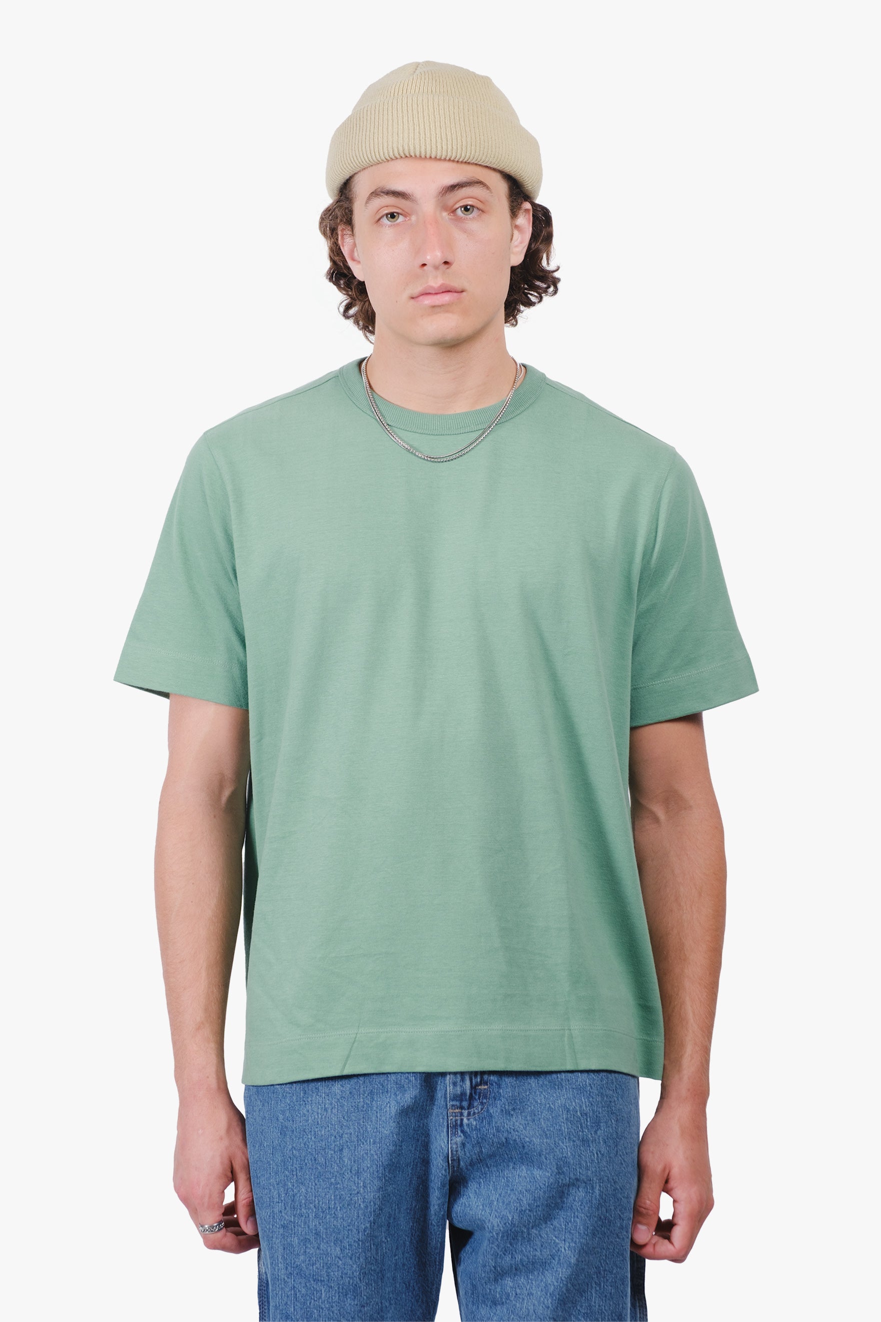 #color_soft-moss