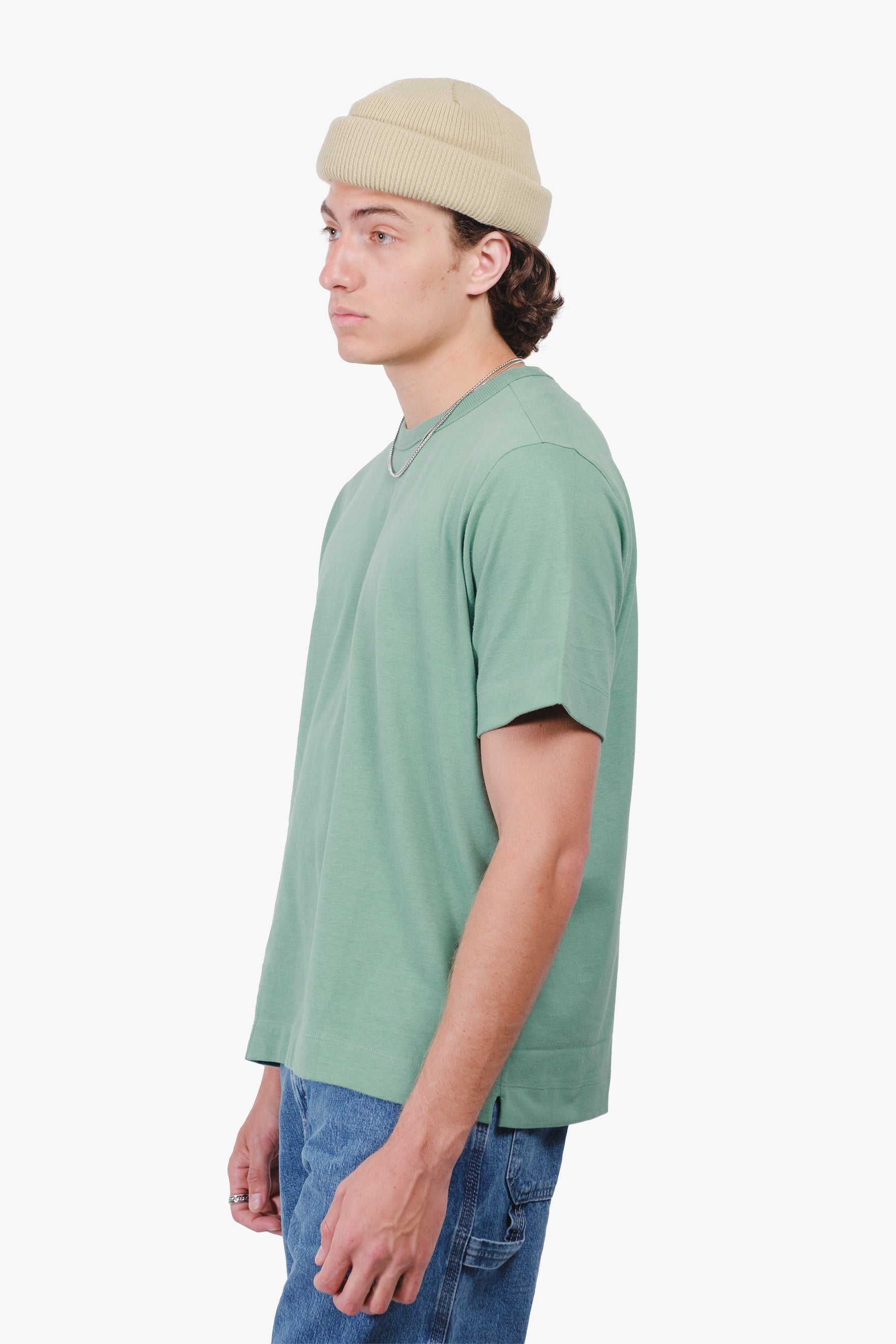 #color_soft-moss